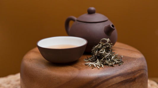 Best Pu-erh Tea