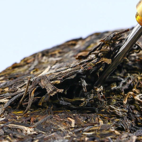 Quality Pu-erh tea