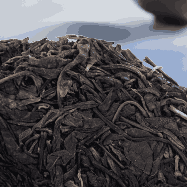 2013 Mansa Mountain Pu-erh Raw Tea cake