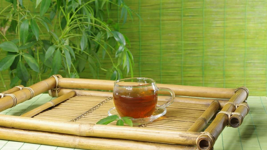 Difference between black tea and green tea