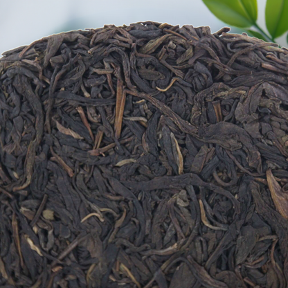 2021 Yiwu Mountain Pu-erh Raw Tea