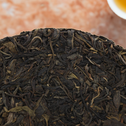 2018 Yiwu Mountain Pu-erh Raw Tea