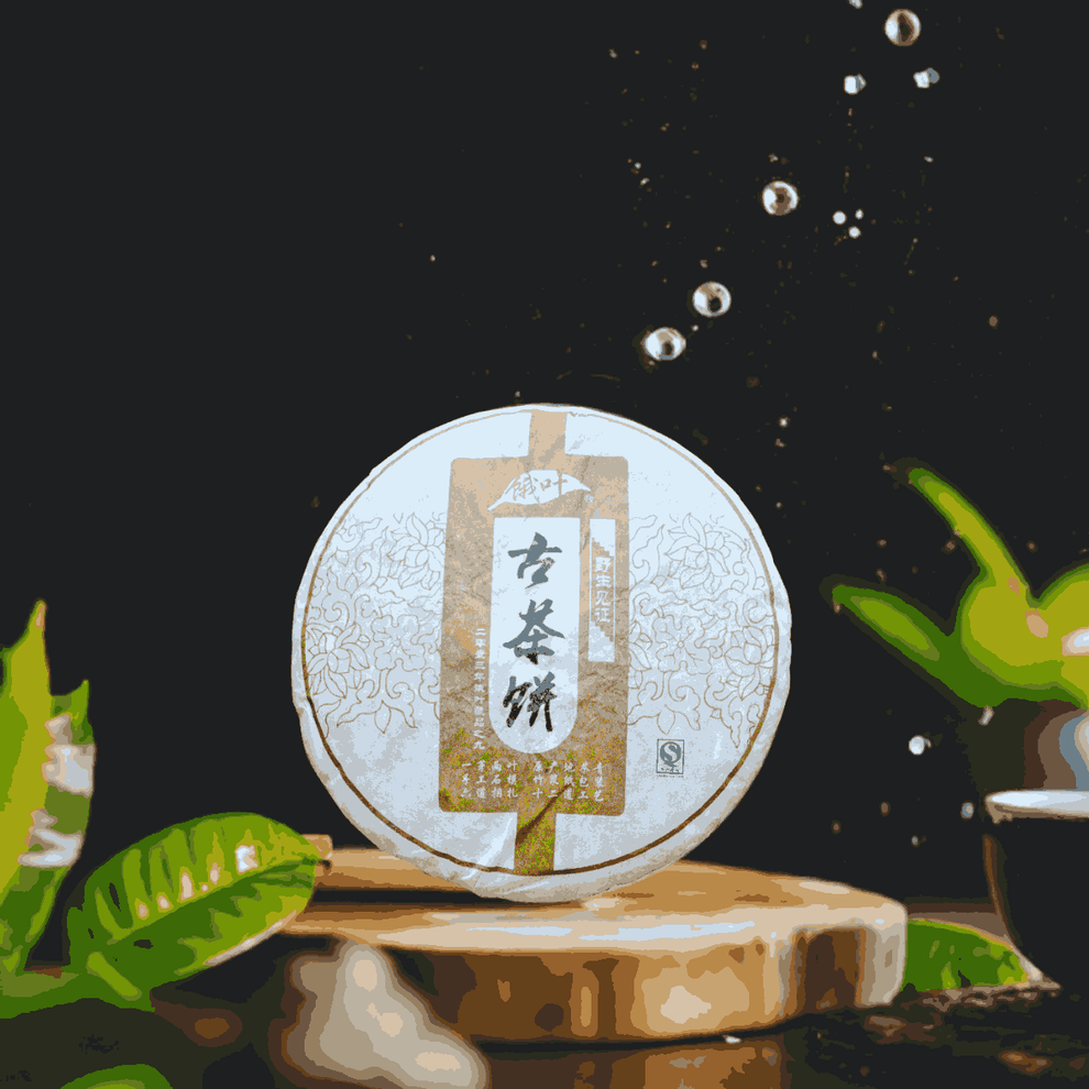 2013 Yiwu Ancient Tree Raw Pu-erh tea – Puerh Craft